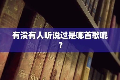 有没有人听说过是哪首歌呢？