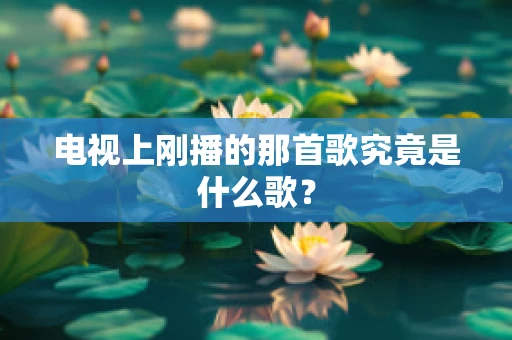 电视上刚播的那首歌究竟是什么歌？