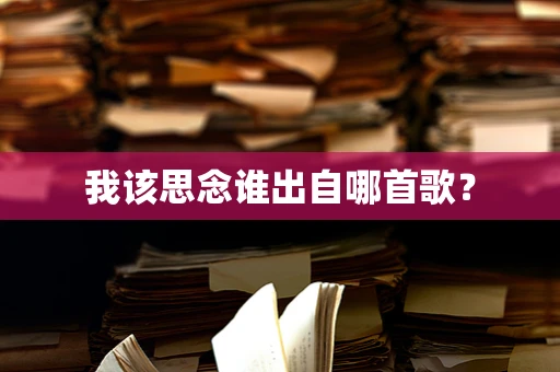 我该思念谁出自哪首歌？